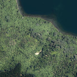 Satellite imagery of Putauaki Point, NZ