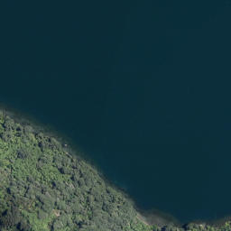 Satellite imagery of Putauaki Point, NZ