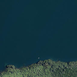 Satellite imagery of Putauaki Point, NZ