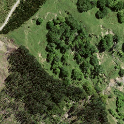 Satellite imagery of 8097, NZ
