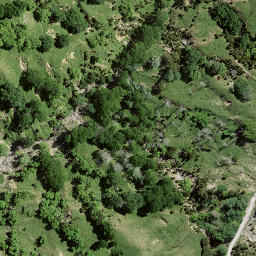 Satellite imagery of 8097, NZ