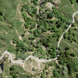 Satellite imagery of 8096, NZ