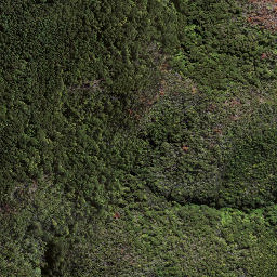 Satellite imagery of 174, NZ