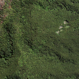 Satellite imagery of 174, NZ