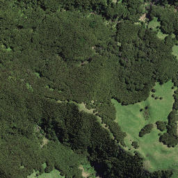 Satellite imagery of 174, NZ
