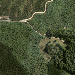 Satellite imagery of Te Kohu Point, NZ