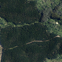 Satellite imagery of Putauaki Point, NZ