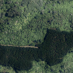 Satellite imagery of Putauaki Point, NZ