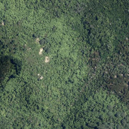 Satellite imagery of Putauaki Point, NZ