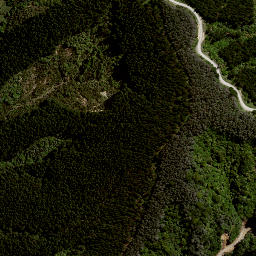 Satellite imagery of 7992, NZ