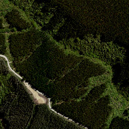 Satellite imagery of 7992, NZ