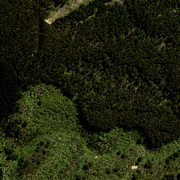 Satellite imagery of 7992, NZ