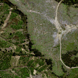 Satellite imagery of 8072, NZ