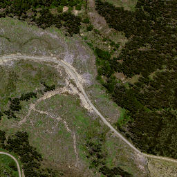 Satellite imagery of 8072, NZ