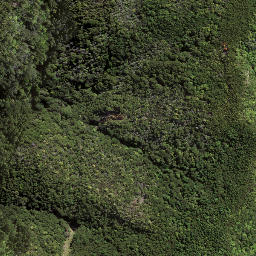Satellite imagery of 174, NZ