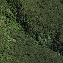 Satellite imagery of 174, NZ