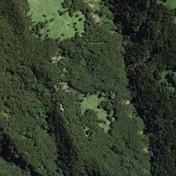 Satellite imagery of 174, NZ
