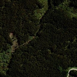 Satellite imagery of 7991, NZ