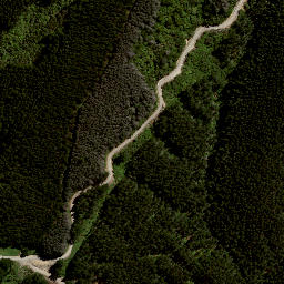 Satellite imagery of 7992, NZ