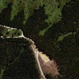 Satellite imagery of 7992, NZ