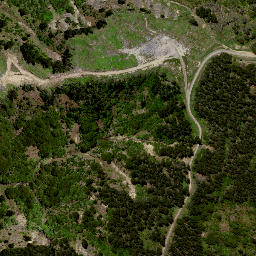 Satellite imagery of 8072, NZ