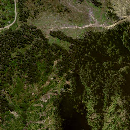 Satellite imagery of 8072, NZ