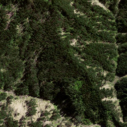 Satellite imagery of 8097, NZ