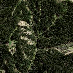 Satellite imagery of 8097, NZ