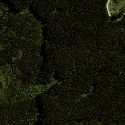 Satellite imagery of 7991, NZ