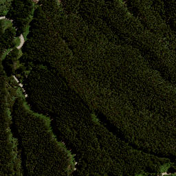 Satellite imagery of 7992, NZ