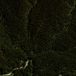Satellite imagery of 7992, NZ