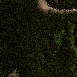 Satellite imagery of 7992, NZ