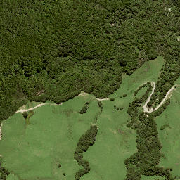 Satellite imagery of B NO 2, NZ