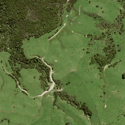 Satellite imagery of B NO 2, NZ