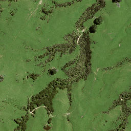 Satellite imagery of B NO 2, NZ