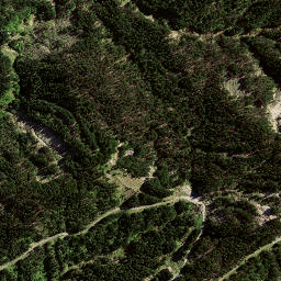 Satellite imagery of 173 WHAKAARI, NZ