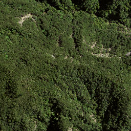 Satellite imagery of 173 WHAKAARI, NZ