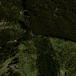 Satellite imagery of 7991, NZ