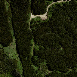 Satellite imagery of 7991, NZ