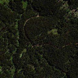 Satellite imagery of 7991, NZ