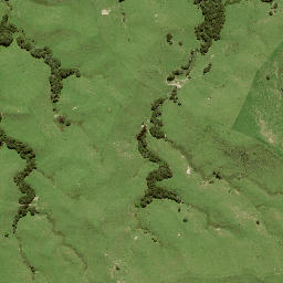 Satellite imagery of B NO 2, NZ