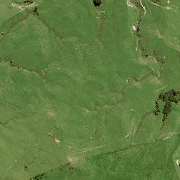 Satellite imagery of B NO 2, NZ