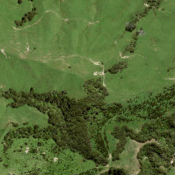 Satellite imagery of B NO 2, NZ