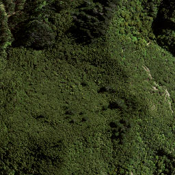 Satellite imagery of 173 WHAKAARI, NZ
