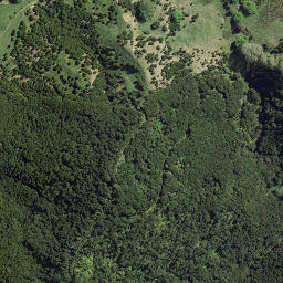 Satellite imagery of 8091, NZ