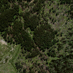 Satellite imagery of 8833, NZ