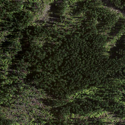 Satellite imagery of 8833, NZ