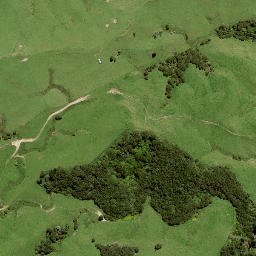 Satellite imagery of B NO 2, NZ