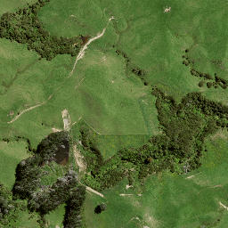 Satellite imagery of B NO 2, NZ