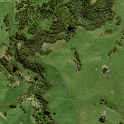 Satellite imagery of B NO 2, NZ